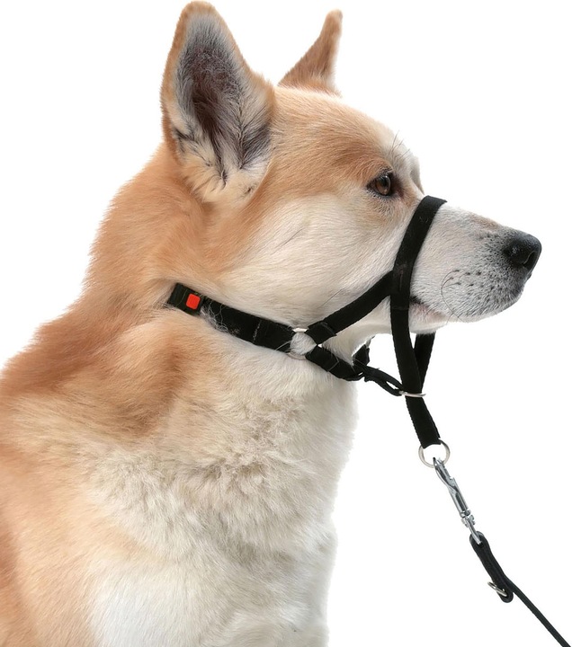 Produktbild Karlie Mastercontrol Erziehungshilfe (S, Hund, Spazieren)