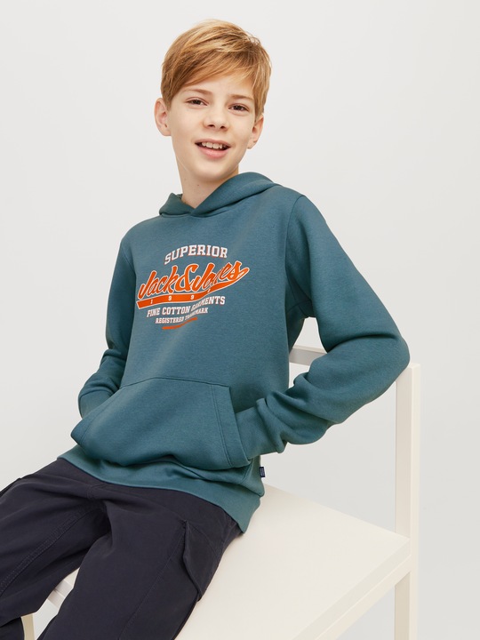 Actual product image Jack & Jones JJELOGO SWEAT HOOD 2 COL 24/25 NOOS JNR (140)