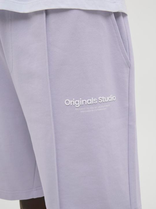 Actual product image Jack & Jones Jpstkane Vesterbro Sweat Shorts Lng Sn (XS)