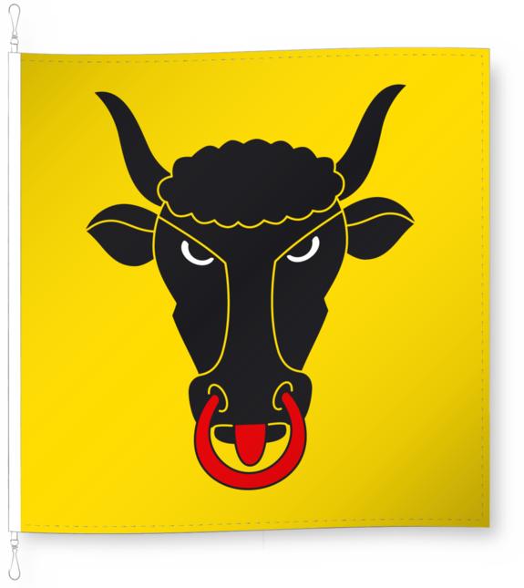 Actual product image Alpenfahnen Uri (100 x 100 cm)