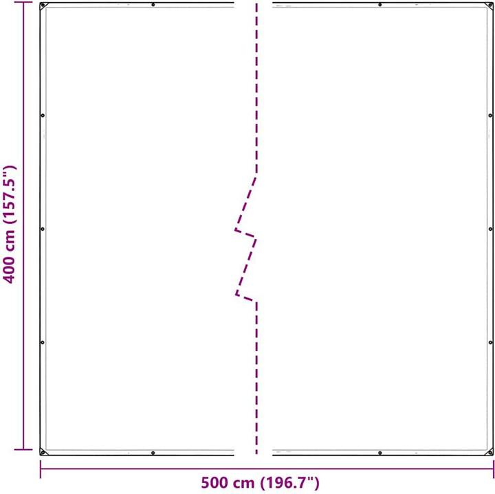 Image du produit vidaXL Bâche transparente avec oeillets 4x5 m PVC Bâche transparente (400 x 500 cm)