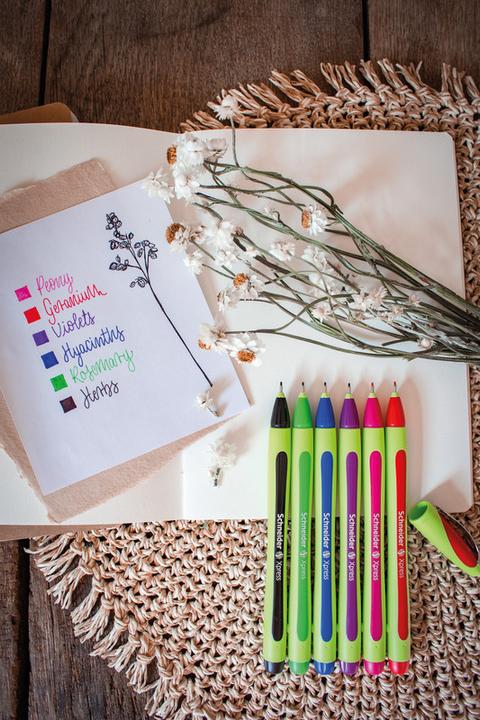 Image du produit Schneider Fineliner Xpress (Bleu, 1 x)