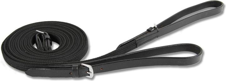 Actual product image Waldhausen Two piece webbing loop reins