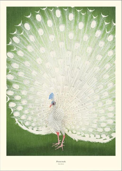 Image du produit Poster & Frame Printart (21 x 29.70 cm)