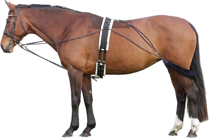 Hy Horse Lunging System