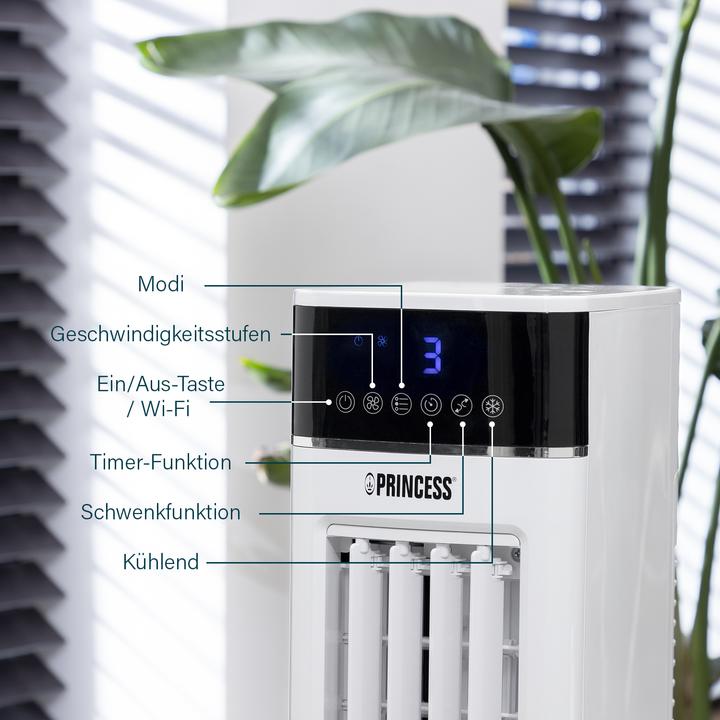Actual product image Princess Air cooler 357250