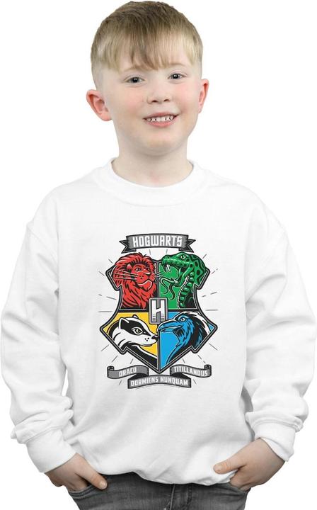 Image du produit - Sweat HOGWARTS TOON CREST - Garçon (104)