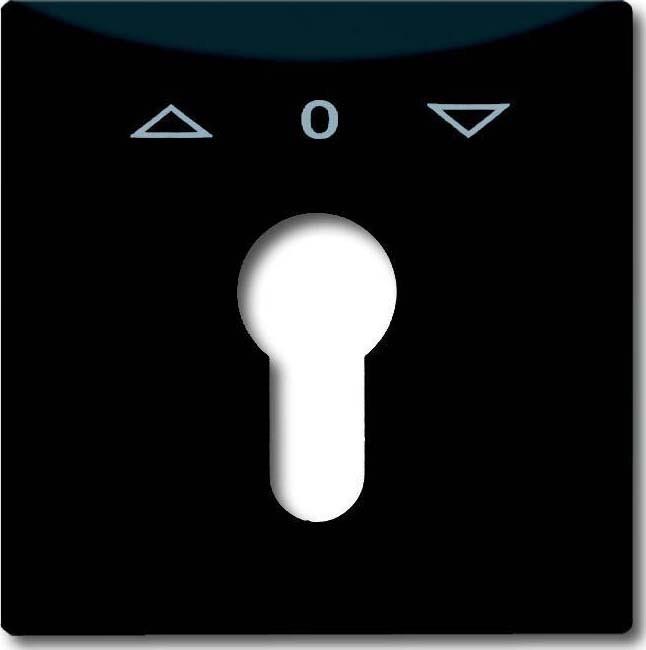 Actual product image Busch-Jaeger Central disc with imprint 2CKA001710A1894