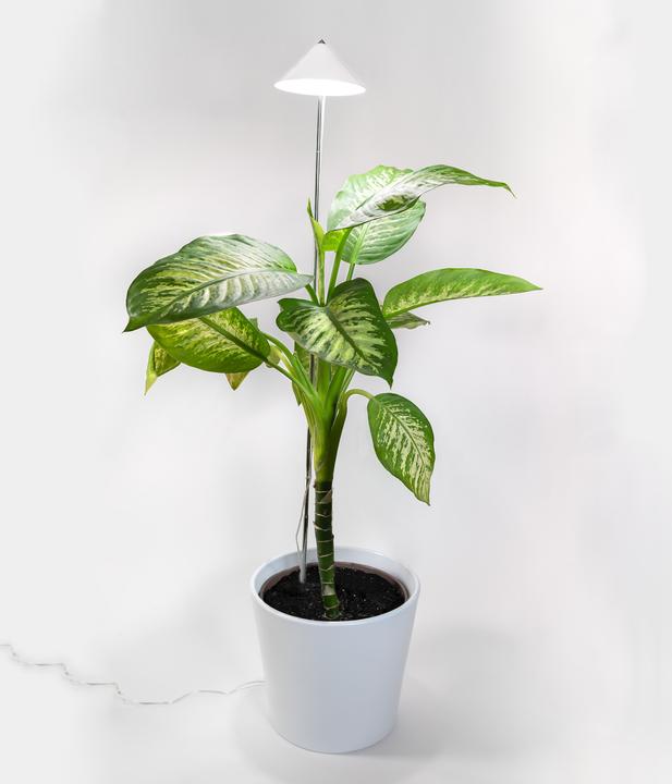 Actual product image Parus by Venso Sunlite XL 25 (LED, 220 V)