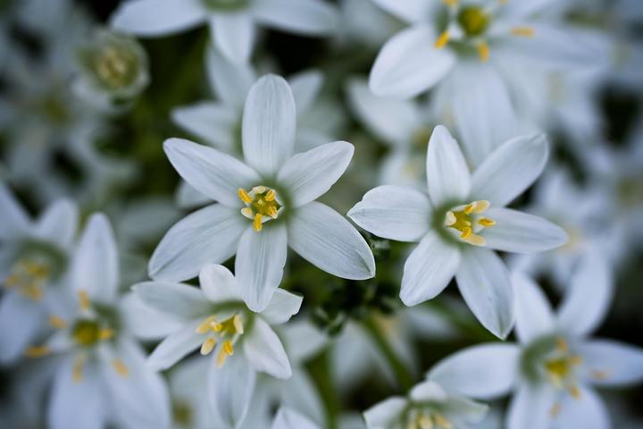 Produktbild Tamron AF 50-400mm F/4.5-6.3 Di III VC VXD (Sony E, APS-C / DX, Vollformat)