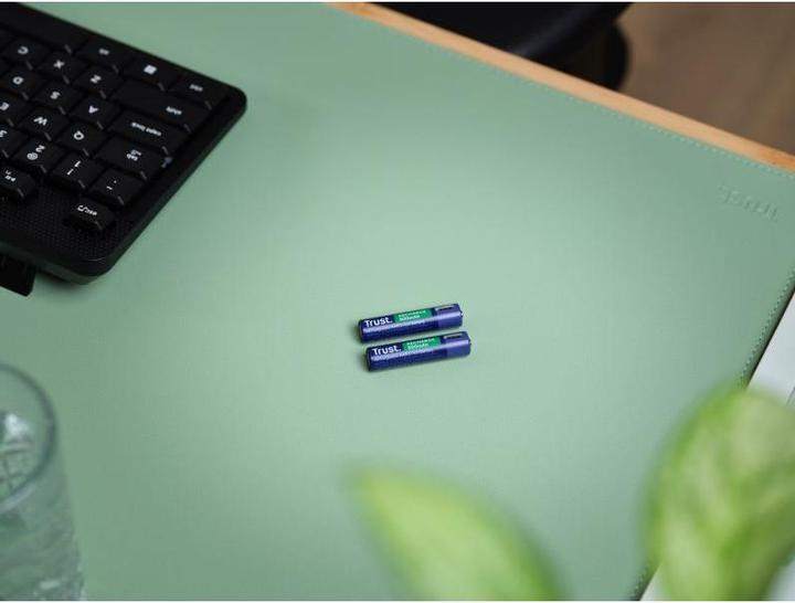 Produktbild Trust USB-C Rechargeable Batteries 2p (2 Stk., AAA, 500 mAh)