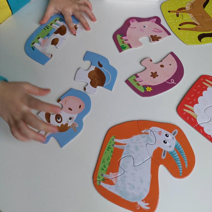 Actual product image Dodo Pets (18 pieces)