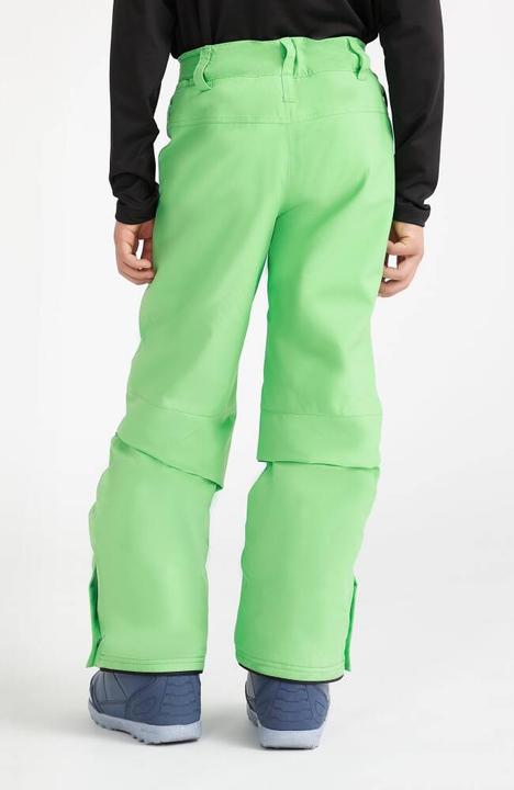 Actual product image O'Neill Hammer Pants (176)