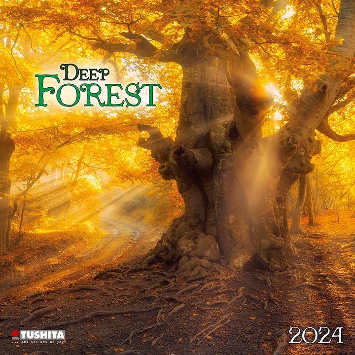 Produktbild Deep Forest 2024