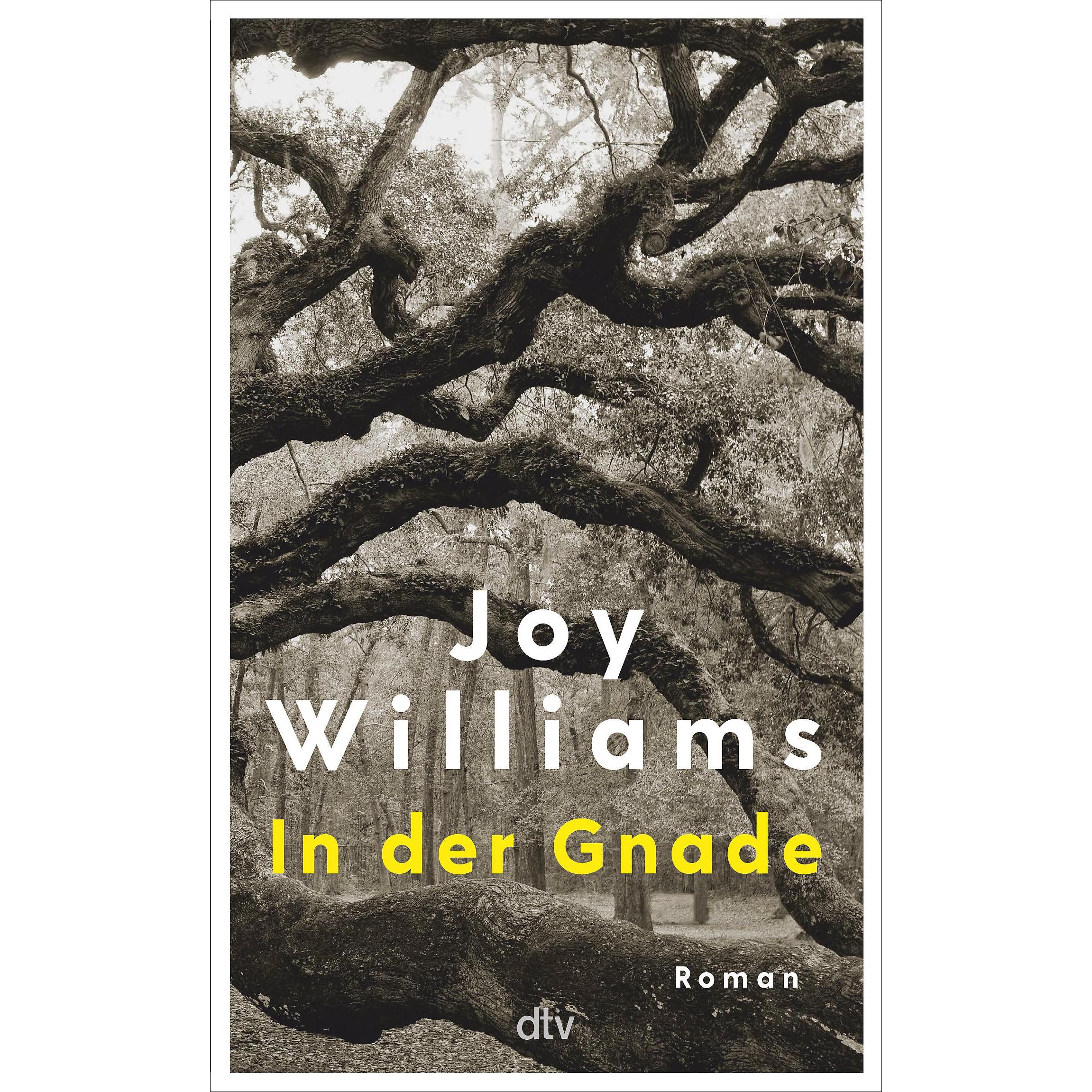 In der Gnade, Belletristik von Joy Williams