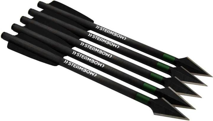 Actual product image Steambow AR series carbon war arrows light