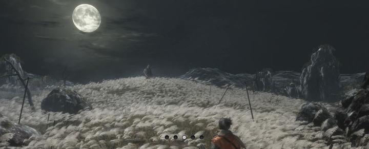 Actual product image Activision Sekiro Shadows Die Twice - PlayStation 4 (PS4, Multilingual)