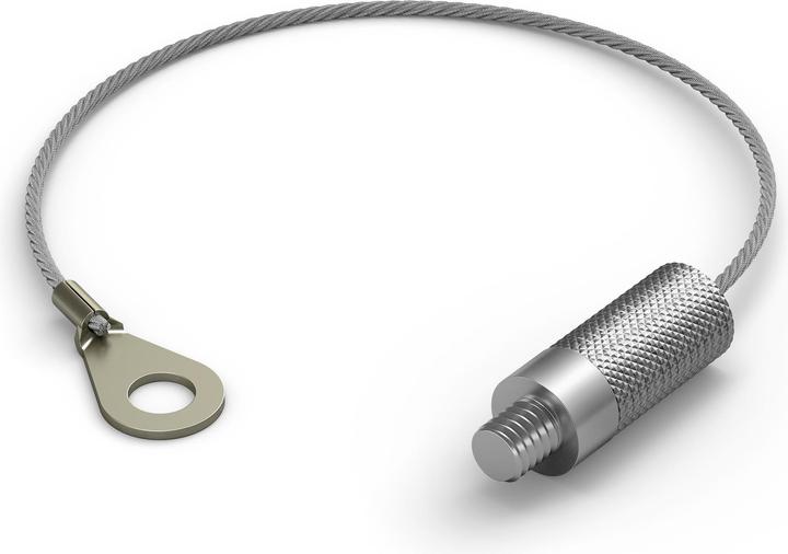 Philips Hue Secure Anti-Diebstahl Kabel (Kabel Zubehör)