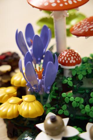 Produktbild LEGO 11505 Waldpilze (LEGO Botanicals)