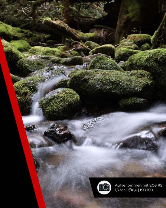 Immagine prodotto Canon RF 14-35mm f/4L IS USM - (EU) (Canon RF, Full frame)