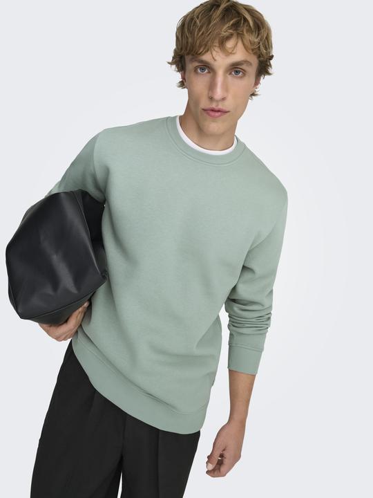 Produktbild Only & Sons Onsconnor Life Reg Crew Neck Sweat Noos (M)