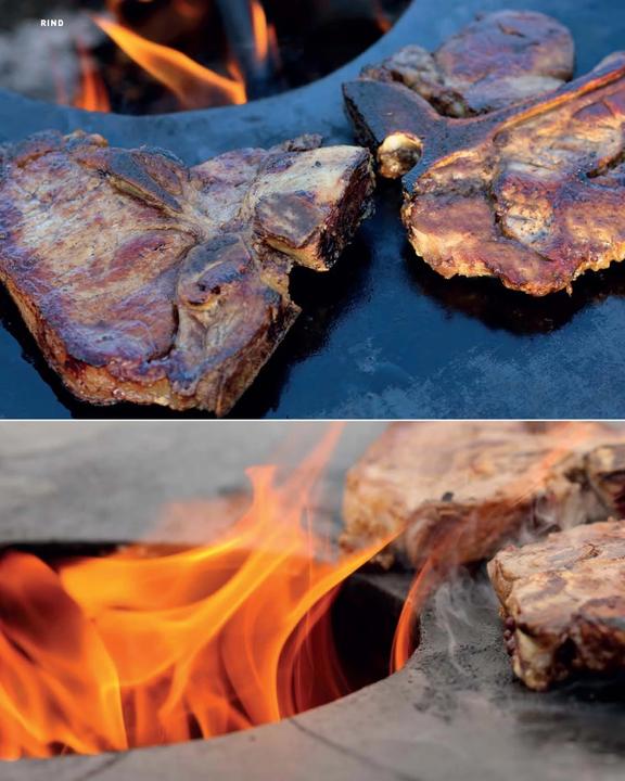 Produktbild Feuerplatte (Deutsch, Udo Eckert, 2017)