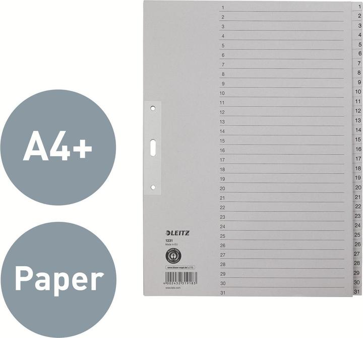 Actual product image Leitz Register paper gray