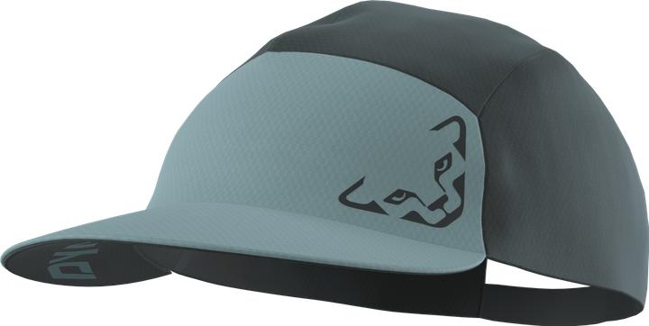 Actual product image Dynafit Alpine Visor (One size)