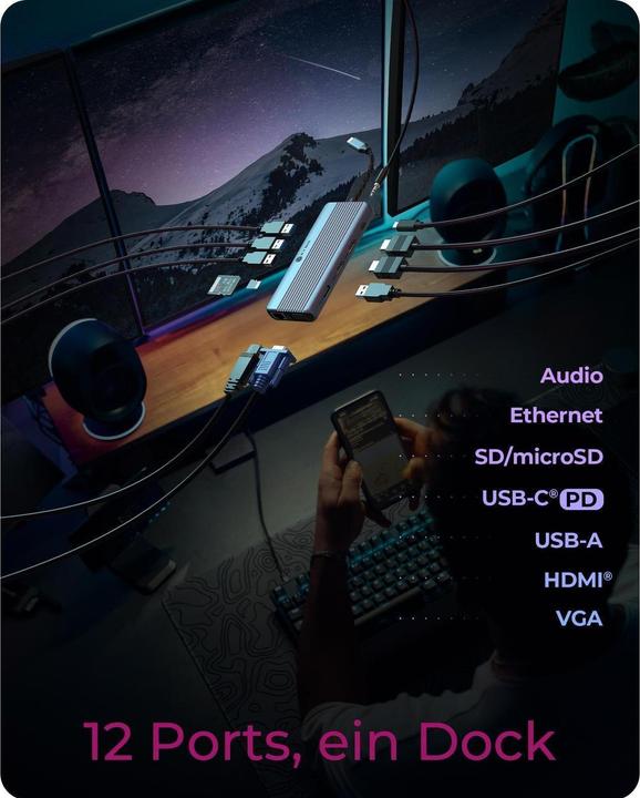 Image du produit Icy Box 12 en 1 (USB-C, 12 ports)
