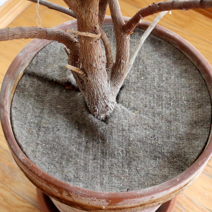 Produktbild Siena Garden Schafwoll-Mulchscheibe D:42cm