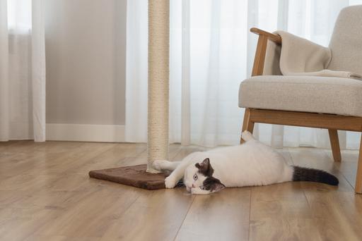 Image du produit Beeztees Bz Arbre à Chat Gina XL Brun 40x (90 cm, Marron)