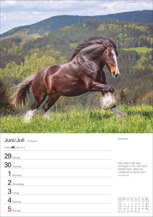 Produktbild Harenberg Pferde Wochenplaner 2026 - 53 faszinierende Fotografien