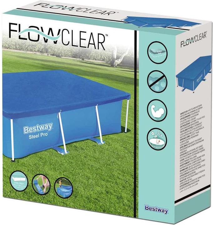 Actual product image Bestway Flowclear