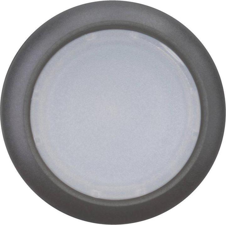Actual product image Eaton Illuminated push-button, RMQ titanium, flat, 216945