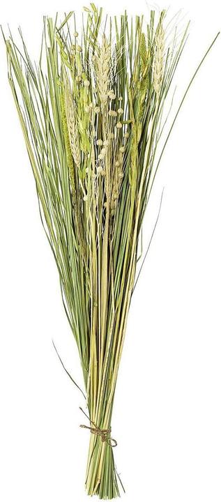 Produktbild Gasper Trockenblumen-Papier-Mix im Naturkarton (Trockenblumen)