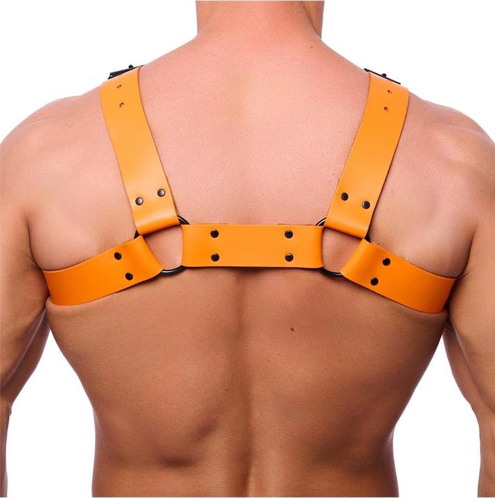 Produktbild The Red Premium Leder-Harness "BULLDOG" (L)