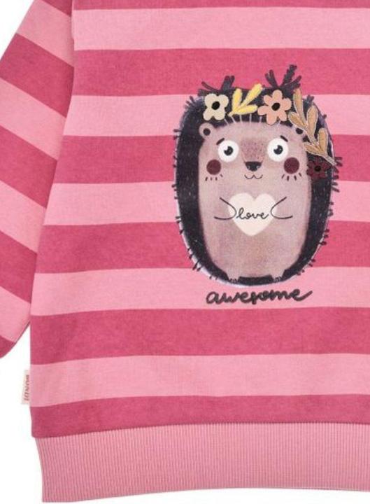 Actual product image Bondi Kleinkinder Pullover Igel (68)