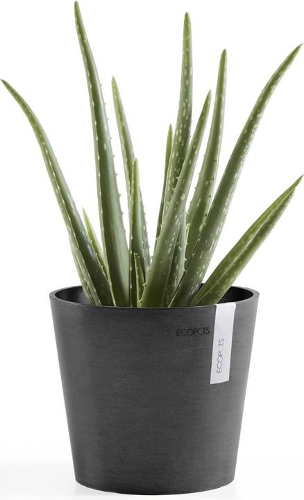 Produktbild Ecopots Amsterdam Mini (17 cm)