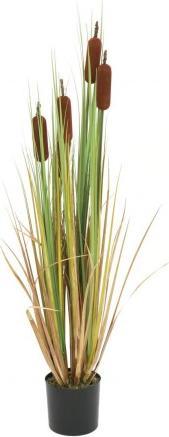 Immagine prodotto Europalms Cattail (150 cm)