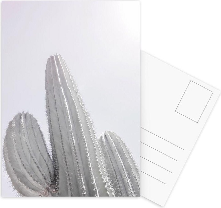 Produktbild Juniqe Saguaro - Kaktus (3 Stk.)