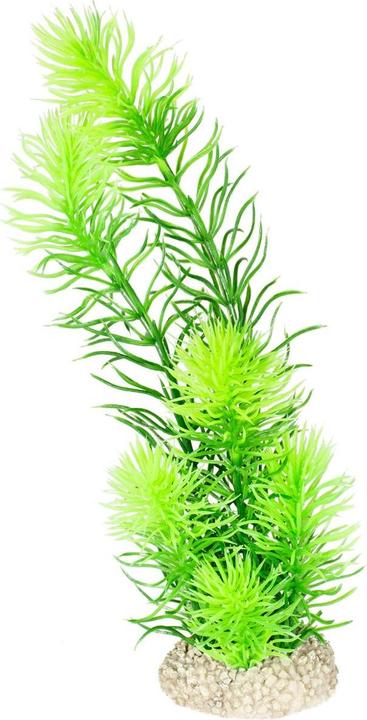 Actual product image EBI Aqua Della Plant Horn Word M (Flora)