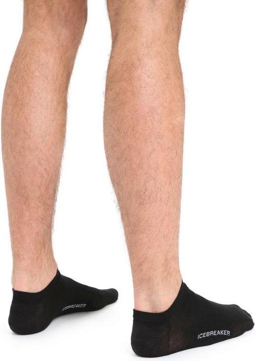 Produktbild Icebreaker Merino Lifestyle Fine Gauge No Show (42 - 44)