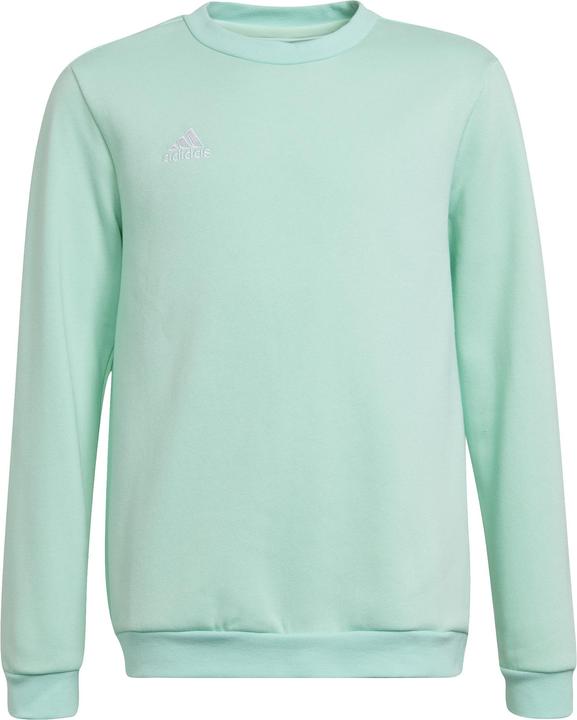 Verde turchese