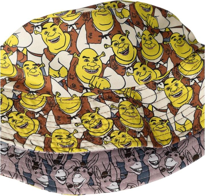 Produktbild Shrek Schlapphut wendbar