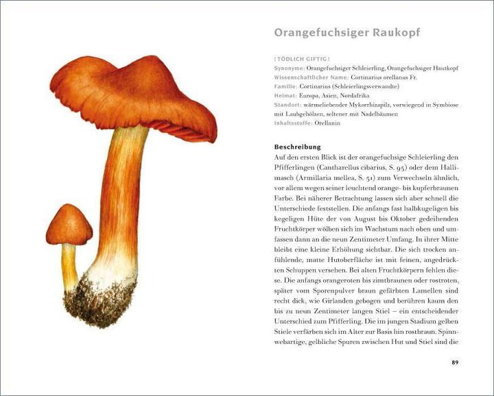 Produktbild Das kleine Pilzbuch (Deutsch, Catrin Cohnen, Diana Lawniczak, 2014)