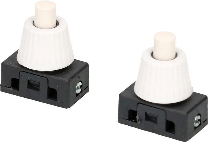 Image du produit Max Hauri Interrupteur M10 1Pôle 2A 2 Pcs.