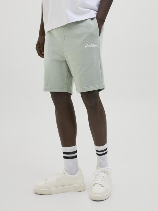 Produktbild Jack & Jones Regular Fit Shorts Shorts (XXL)