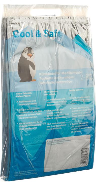 Actual product image Cool & Safe Cooler bag, 10 pieces