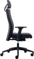 Actual product image Interstuhl Office chair