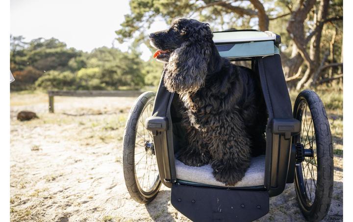 Productafbeelding Thule Hanger Hond Bexey